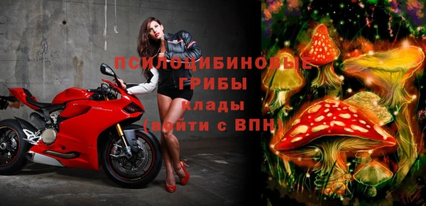 Альфа ПВП Беломорск