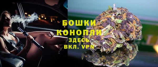 индика Баксан