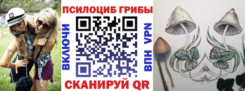 Галлюциногенные грибы GOLDEN TEACHER  купить наркоту  Демидов 